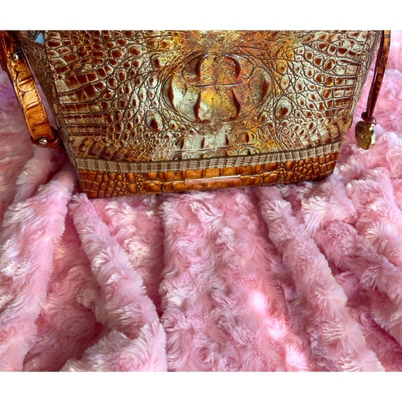 Brahmin Hillary - Picture 5 of 8